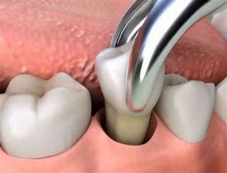 General Dentistry